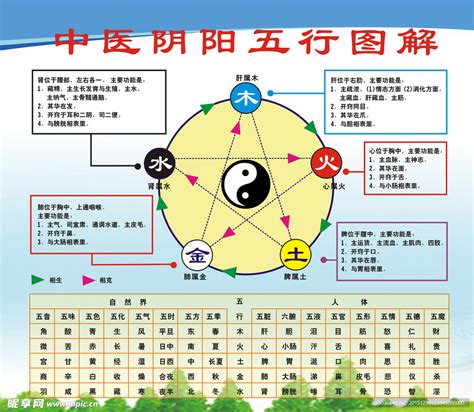 五行方向|五行和季节，颜色，方向，身体的对应表，五行方向。